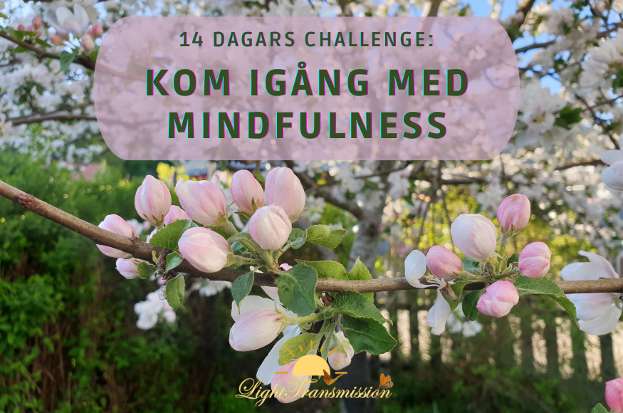 KIM-mindfulness-stor