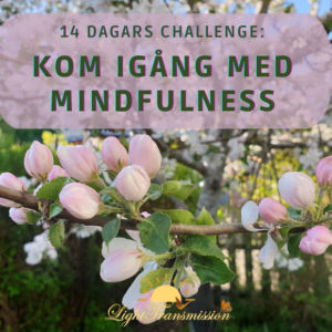 Kom igång med Mindfulness lp